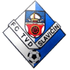 Logo Slavicin