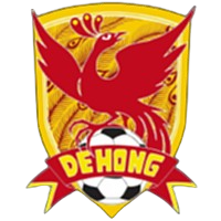 Logo Dehong Team